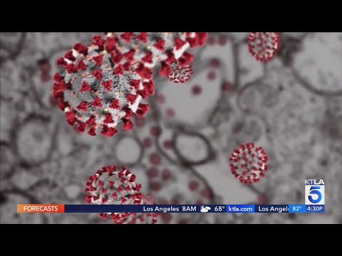 COVID-19 cases increasing across Los Angeles County, most of California