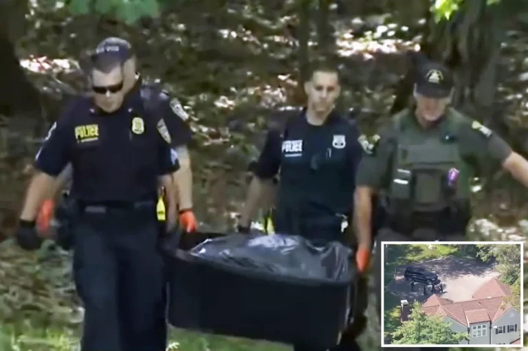 Police report bear attack on 7-year-old boy in Westchester County backyard in New York