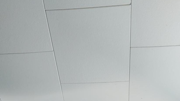 Guide to Asbestos Ceiling Tiles (2023)