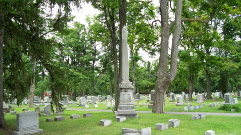 Woman Arrested from Clarence for desecrating a Cemetery