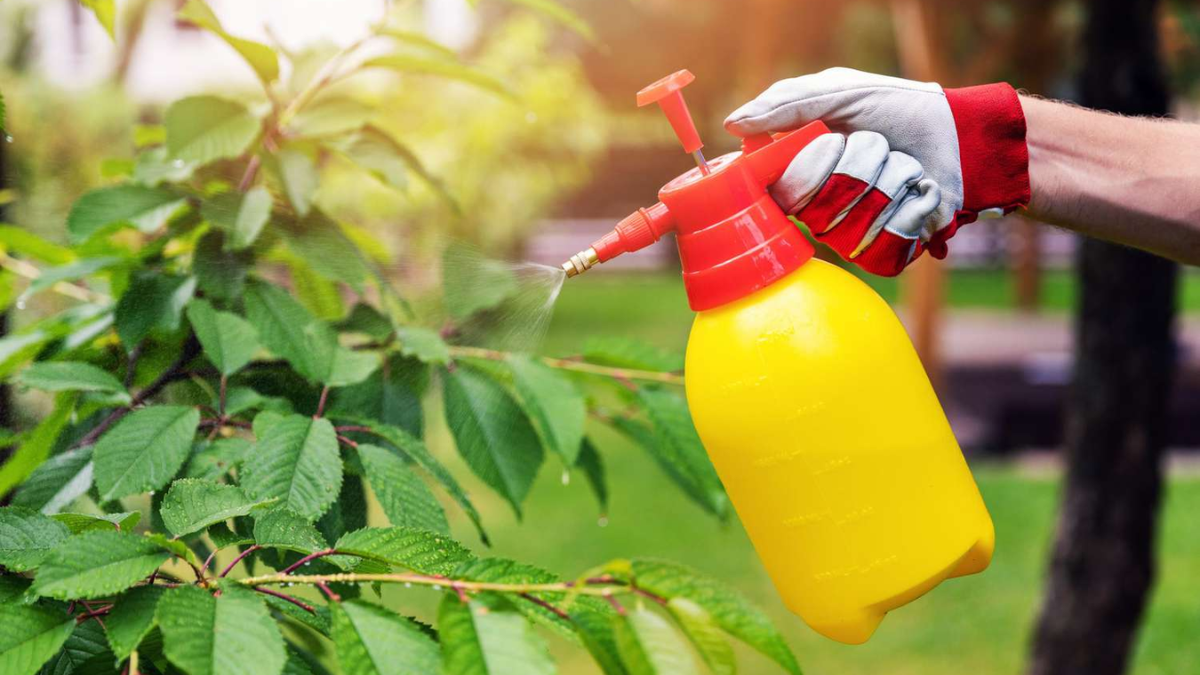 Create your own weed killer