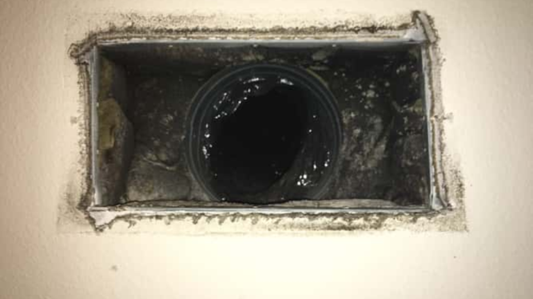 7 Toxic Signs Of Detecting the Presence of Black Mold in Air Vents