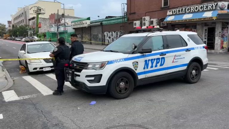 A model was shot outside a Home Depot in Brooklyn and died as a result of her injuries