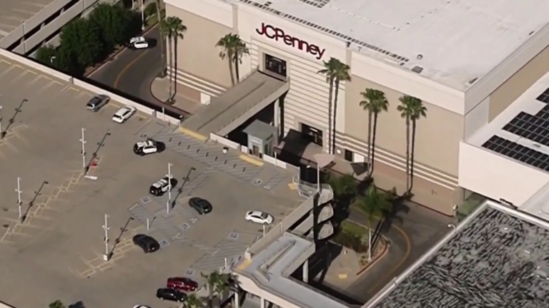 Northridge Mall Experiences Armed Robbery; Criminals Escape with Valuable Loot