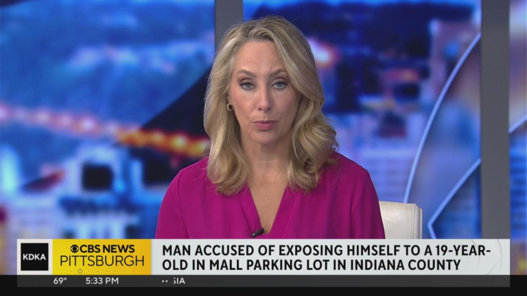 State police seeking man who allegedly exposed himself to woman in mall parking lot.