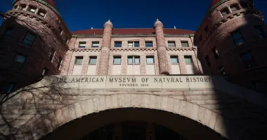 American Museum Of Natural History Will Remove