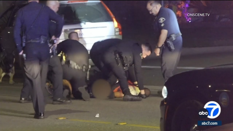 Anaheim Police Officer Captured on Video Punching Suspect in the Head While Detaining Him