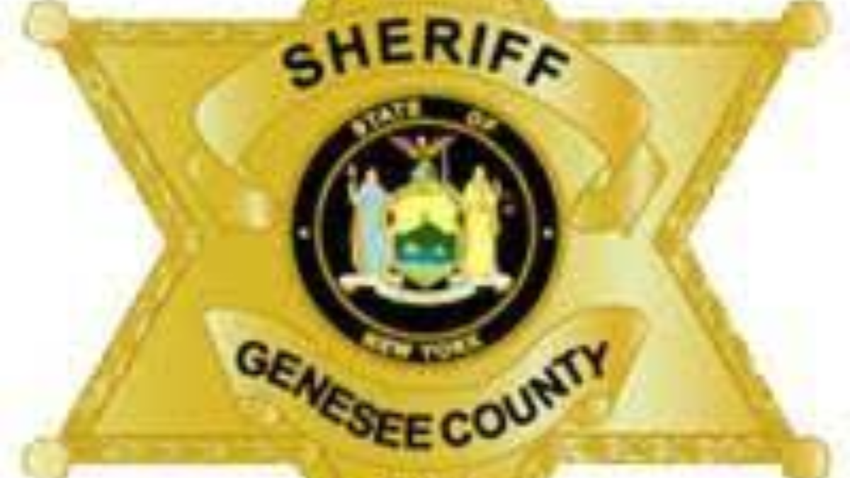 Genessee County Sheriff's Report Pair accused of stealing and using debit card