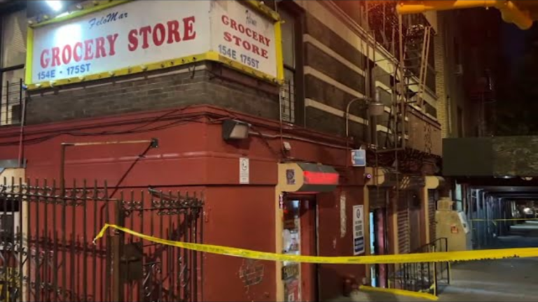 Man was fatally shot near a supermarket in the Bronx.