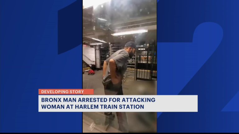 Bronx man indicted by Manhattan DA for assaulting elderly woman at Harlem train station