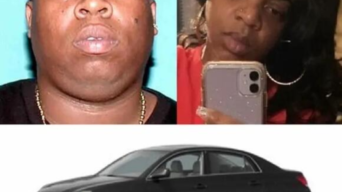 Krystle Journee, a mother of three, went missing under mysterious circumstances following her attendance at a concert in New Orleans