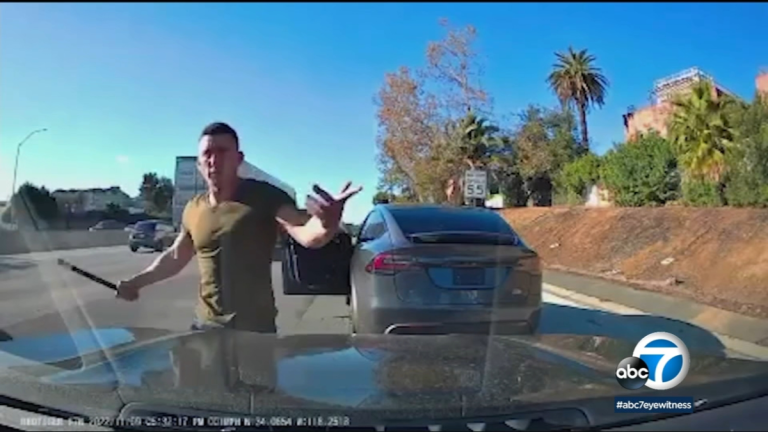 Tesla driver serving 5-year sentence for road-rage attacks