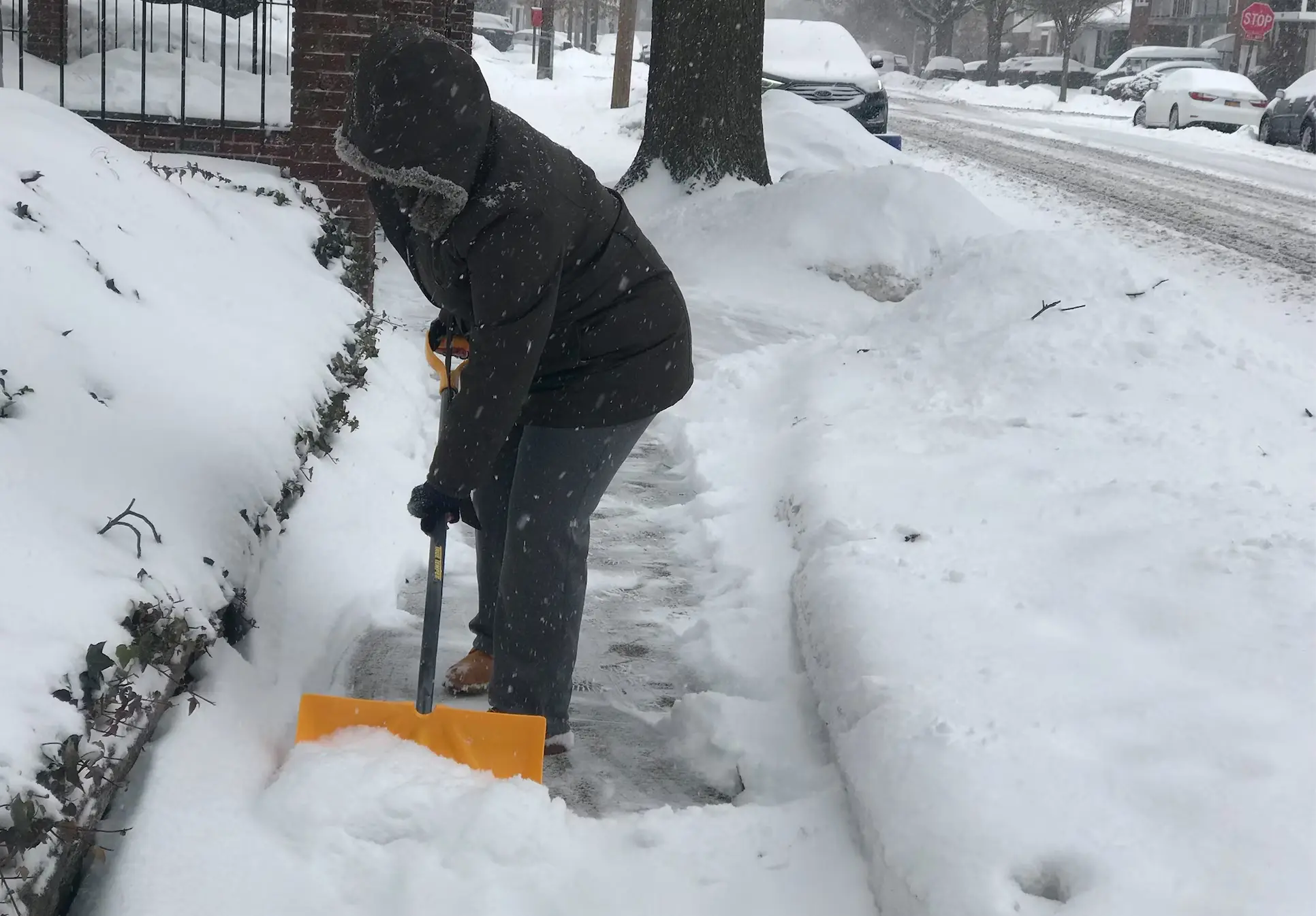 Winter forecast- Blizzards and 'frosty' temperatures predicted for NYC