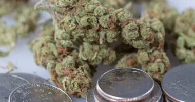 Arkansas Made $23.5 Million In Medical Marijuana Tax Revenue So Far This Year, With State On Track For New Sales Record