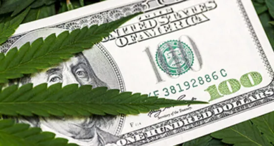California Legal Cannabis Market Size: How much is the weed industry worth in California?