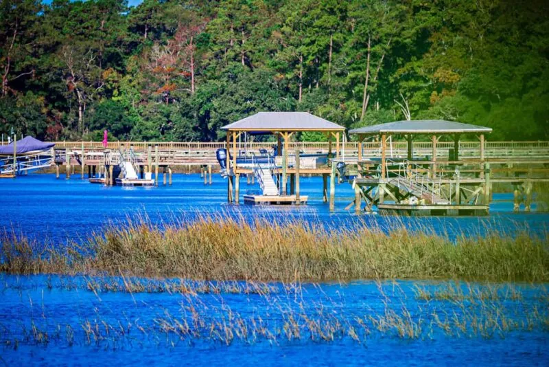 Discover the Largest Island in South Carolina
