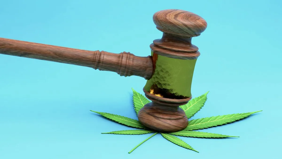 Georgia Cannabis Laws You Definitely Know