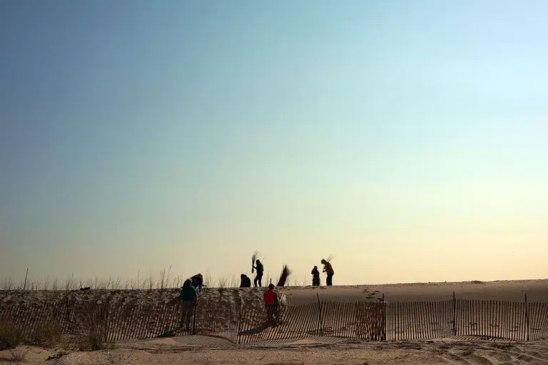 Authorities Find Human Torso on Beach in New York City