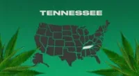Is Weed Legal In Tennessee