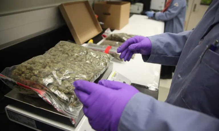 Missouri Permits the Return of Some Recalled Marijuana Products to Store Shelves