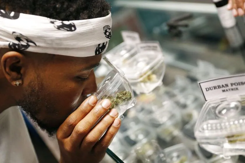 Chicago city with the highest weed consumption in Illinois