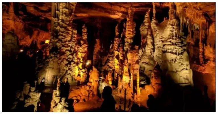 Cathedral Caverns: An Underground Ancient Wonder of Alabama