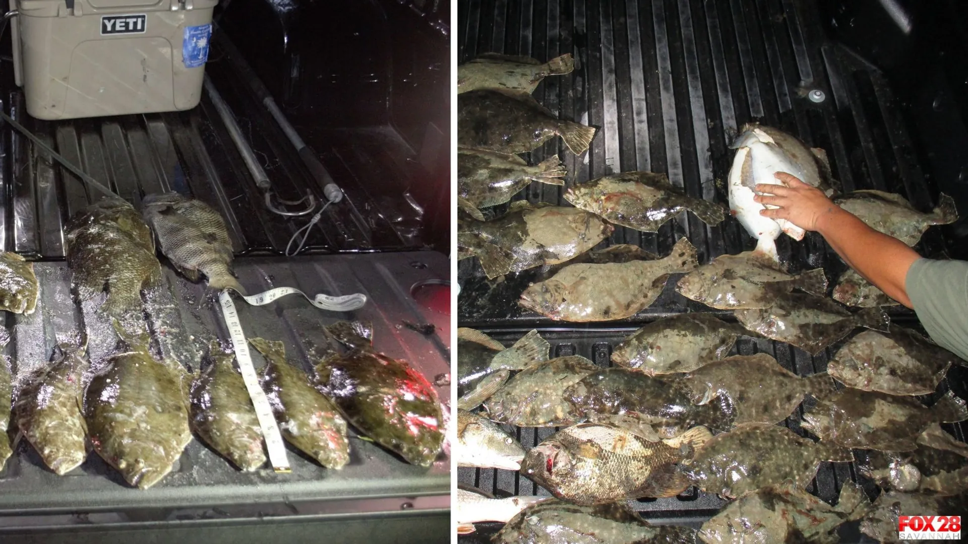 Officials say they gave an unusual haul of fish illegally caught in Georgia to a family in need