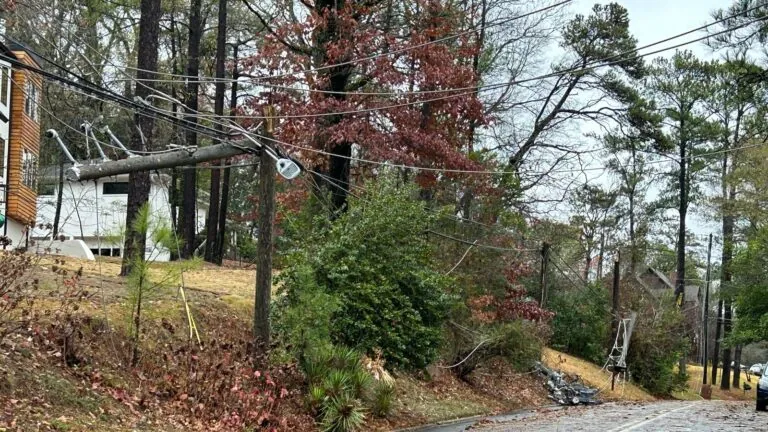 Across central Alabama, strong storms bring down trees and electrical lines. Sunday